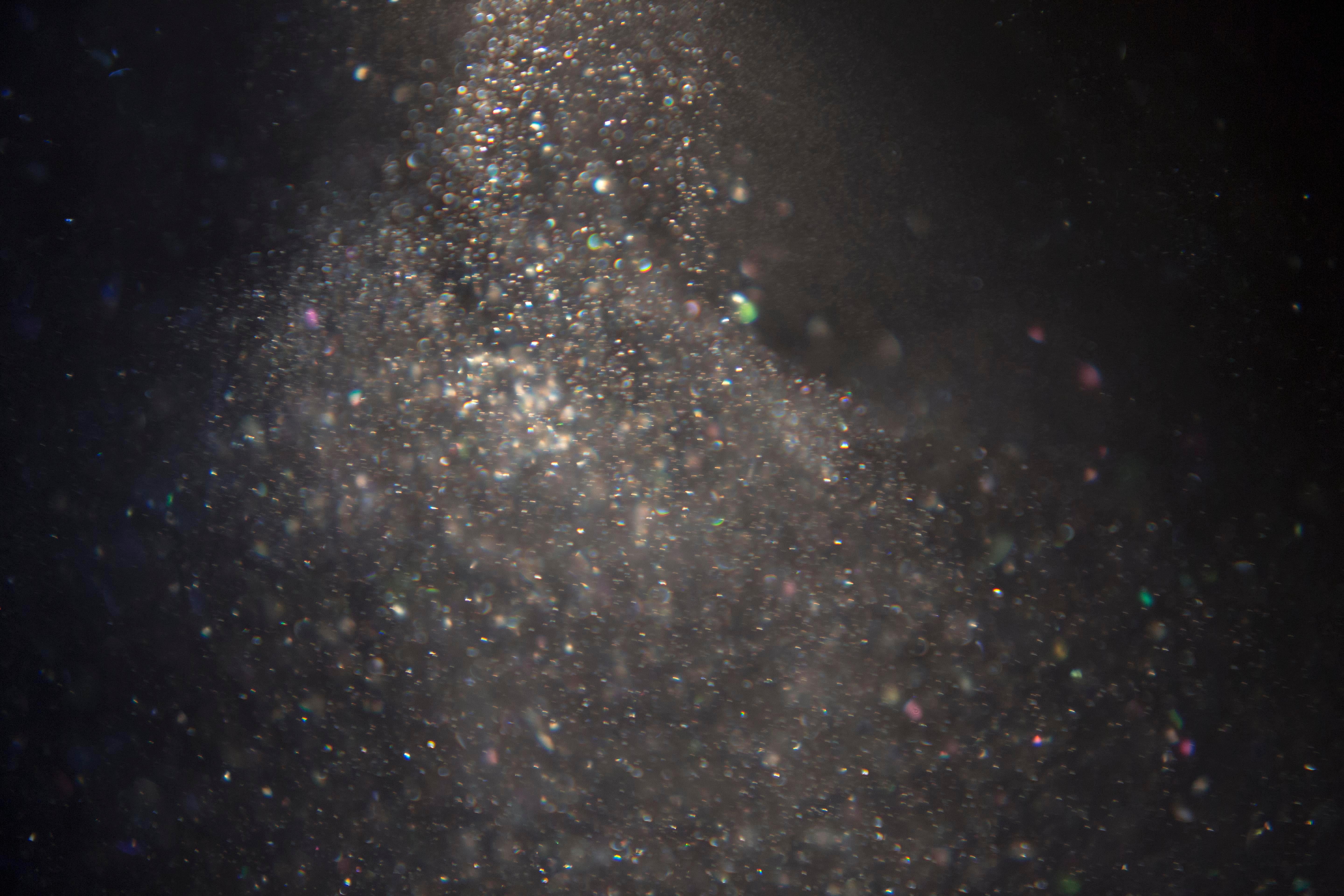 Untitled, from the series 
Halo
