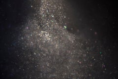 Untitled, from the series 
Halo
