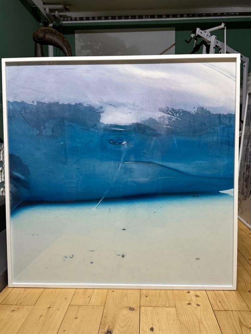 Ohne Titel, aus der Serie 'Illuminance' – Photograph von Rinko Kawauchi