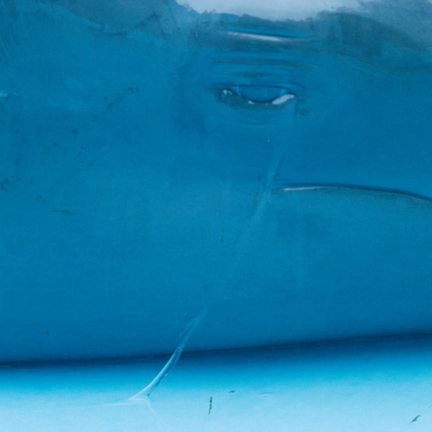Ohne Titel, aus der Serie 'Illuminance' (Zeitgenössisch), Photograph, von Rinko Kawauchi
