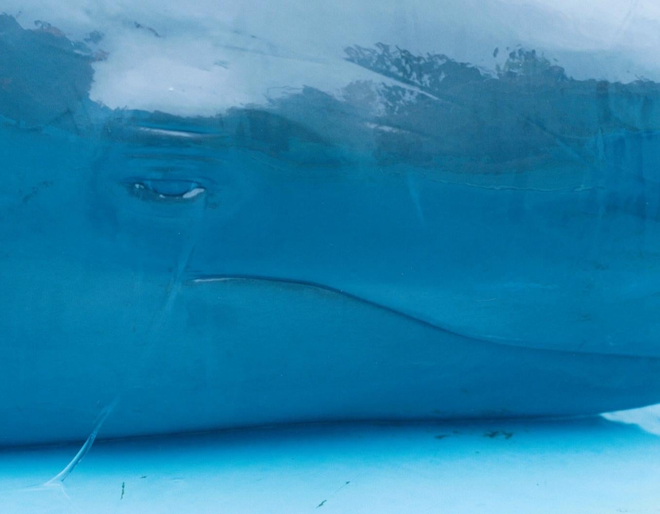 Ohne Titel, aus der Serie 'Illuminance' (Blau), Color Photograph, von Rinko Kawauchi