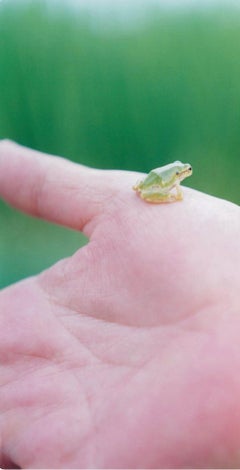 Sans titre, de la série "Illuminance" - Rinko Kawauchi