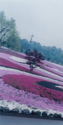 Sans titre, de la série "Illuminance" - Rinko Kawauchi
