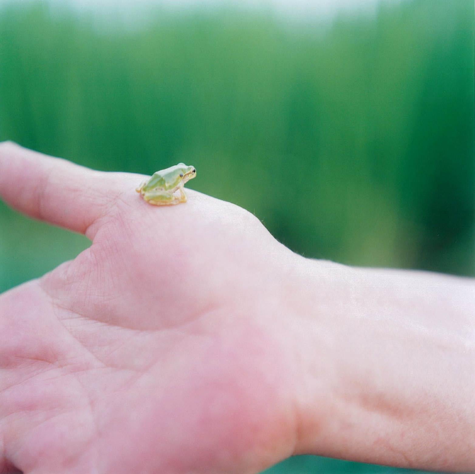 RINKO KAWAUCHI (*1972, Japan)
Untitled, from the series 
Illuminance

2009
Lambda print
Sheet 101.6 × 101.6 cm (40 x 40 in.)
Edition of 6
framed, Signed by the Artist

Reminiscent of Japanese photography of the 1960s Rinko Kawauchi’s work is the