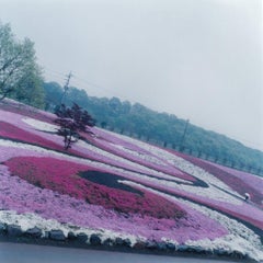 Ohne Titel, aus der Serie 
Illuminance
 - Rinko Kawauchi