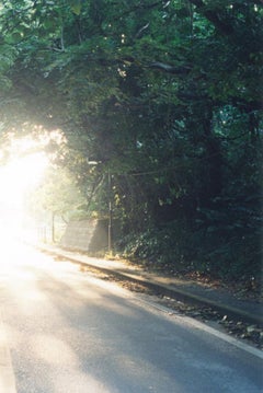 Untitled, from the series 'Illuminance' – Rinko Kawauchi, Street, Light, Trees