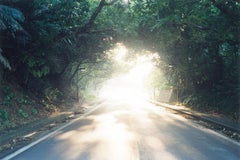 Sans titre, de la série « Illuminance » Rinko Kawauchi, Street, Light, Trees