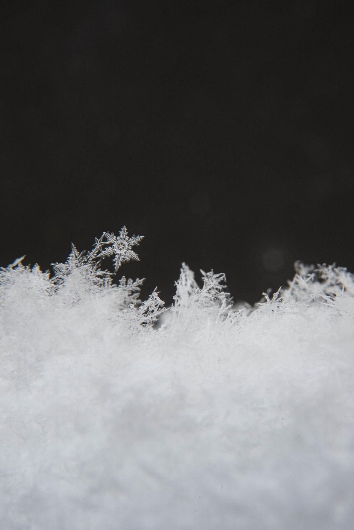 Untitled, from the series 'M/E'