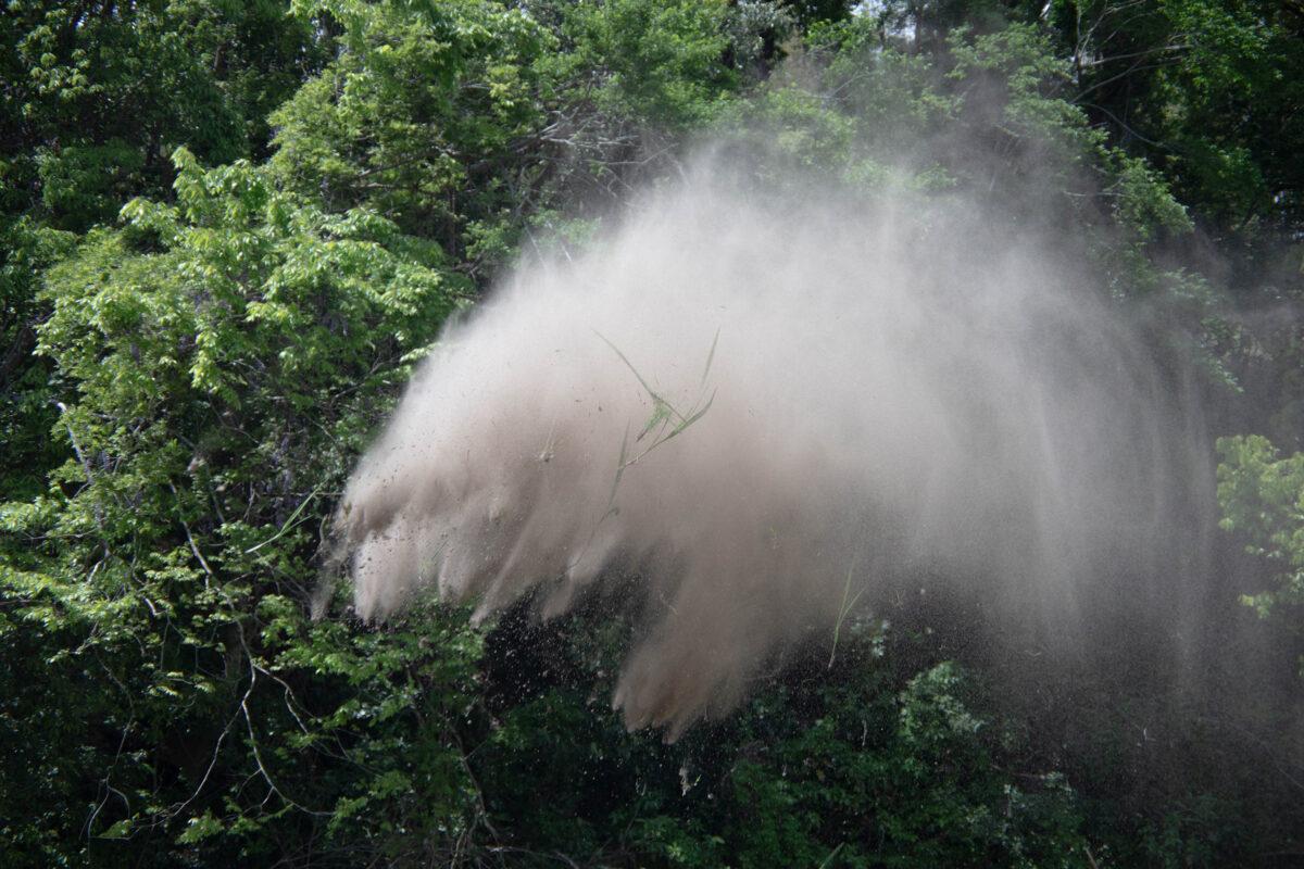 Rinko Kawauchi Color Photograph - Untitled, from the series 
M/E
