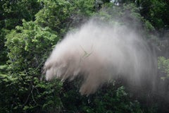 Untitled, from the series 
M/E
