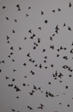 Senza titolo, dalla serie "Murmure".