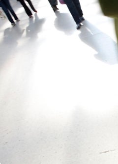 Untitled, from the series ‚ murmuration‘