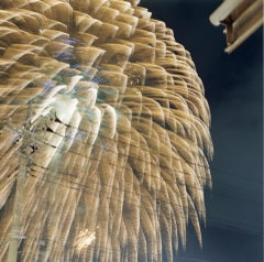 Untitled, from the series of 'Hanabi' – Rinko Kawauchi, Sky, Firework, Night