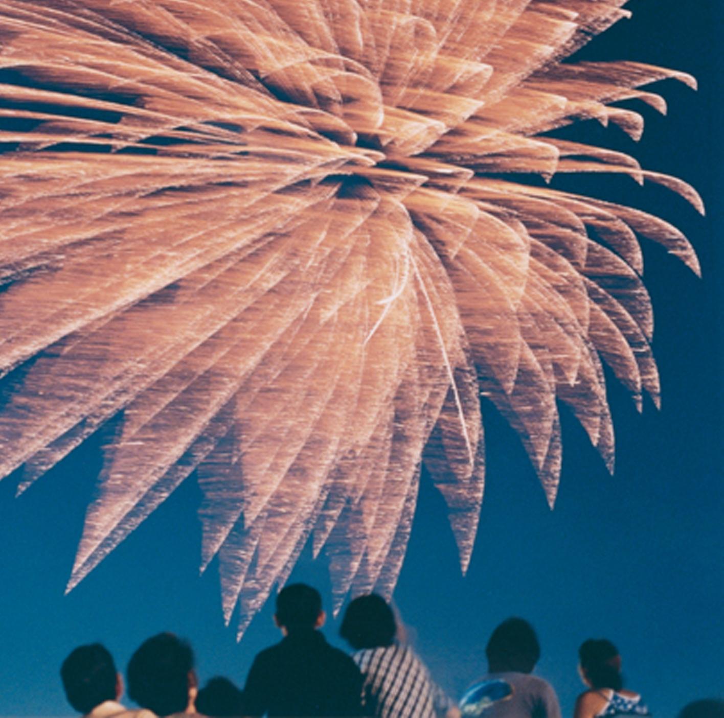RINKO KAWAUCHI (*1972, Japan)
Untitled, from the series 'Hanabi'
2001
C–type print
Sheet 25.4 x 20.3 cm (10 x 8 in.)
Edition of 6; Ed. no. 6/6 (last available edition)
framed

Reminiscent of Japanese photography of the 1960s Rinko Kawauchi’s work is