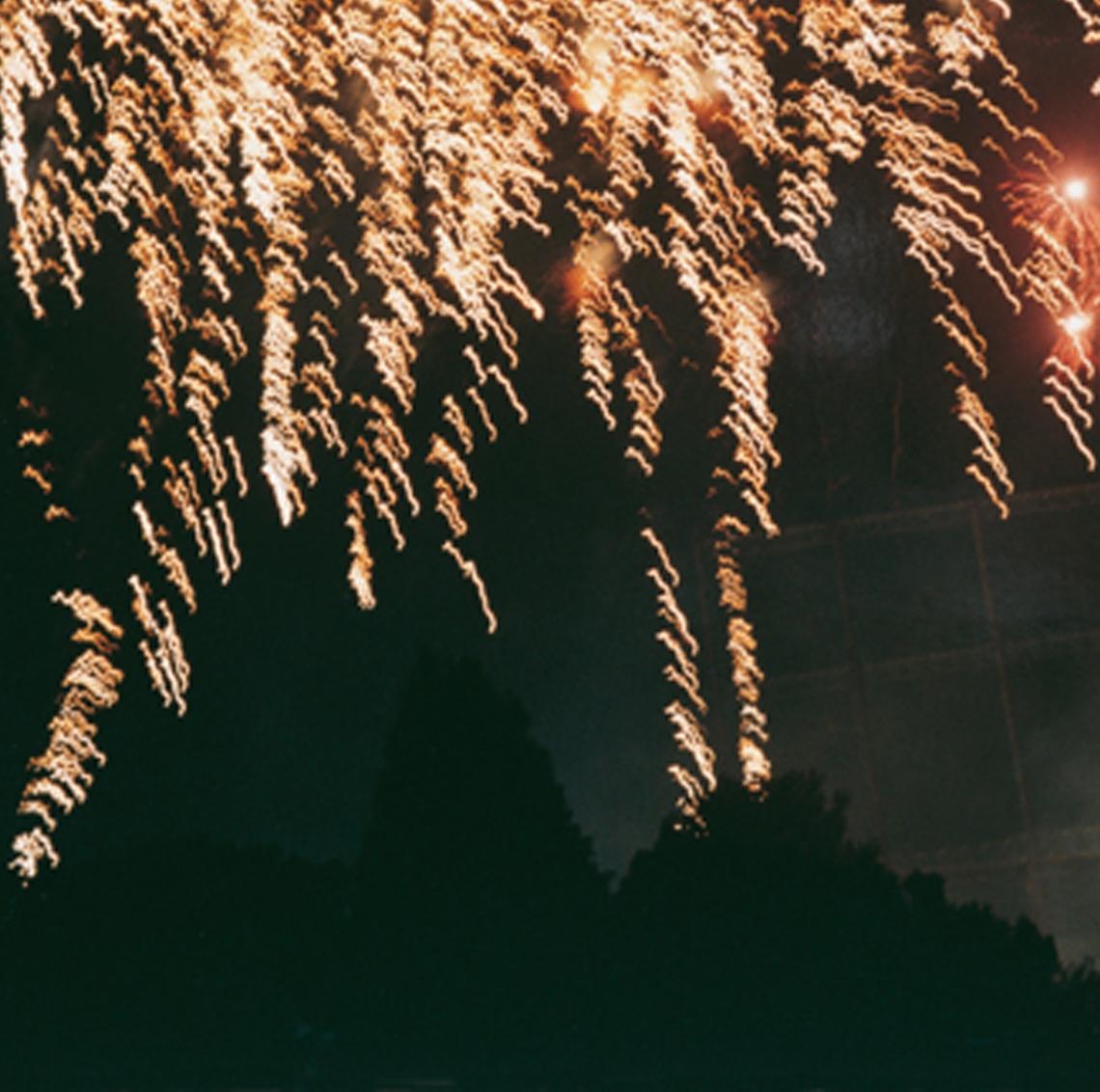 RINKO KAWAUCHI (*1972, Japan)
Untitled, from the series 'Hanabi'
2001
C–type print
Sheet 25.4 x 20.3 cm (10 x 8 in.)
Edition of 6; Ed. no. 4/6 
framed

Reminiscent of Japanese photography of the 1960s Rinko Kawauchi’s work is the search for the