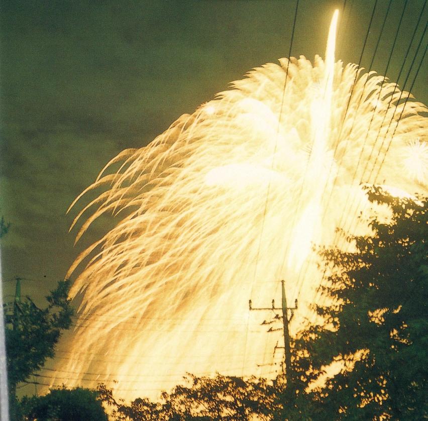 RINKO KAWAUCHI (*1972, Japan)
Untitled, from the series 'Hanabi'
2001
C–type print
Sheet 25.4 x 20.3  cm (10 x 8 in.)
Edition of 6; Ed. no. 3/6 
framed 

Reminiscent of Japanese photography of the 1960s Rinko Kawauchi’s work is the search for the