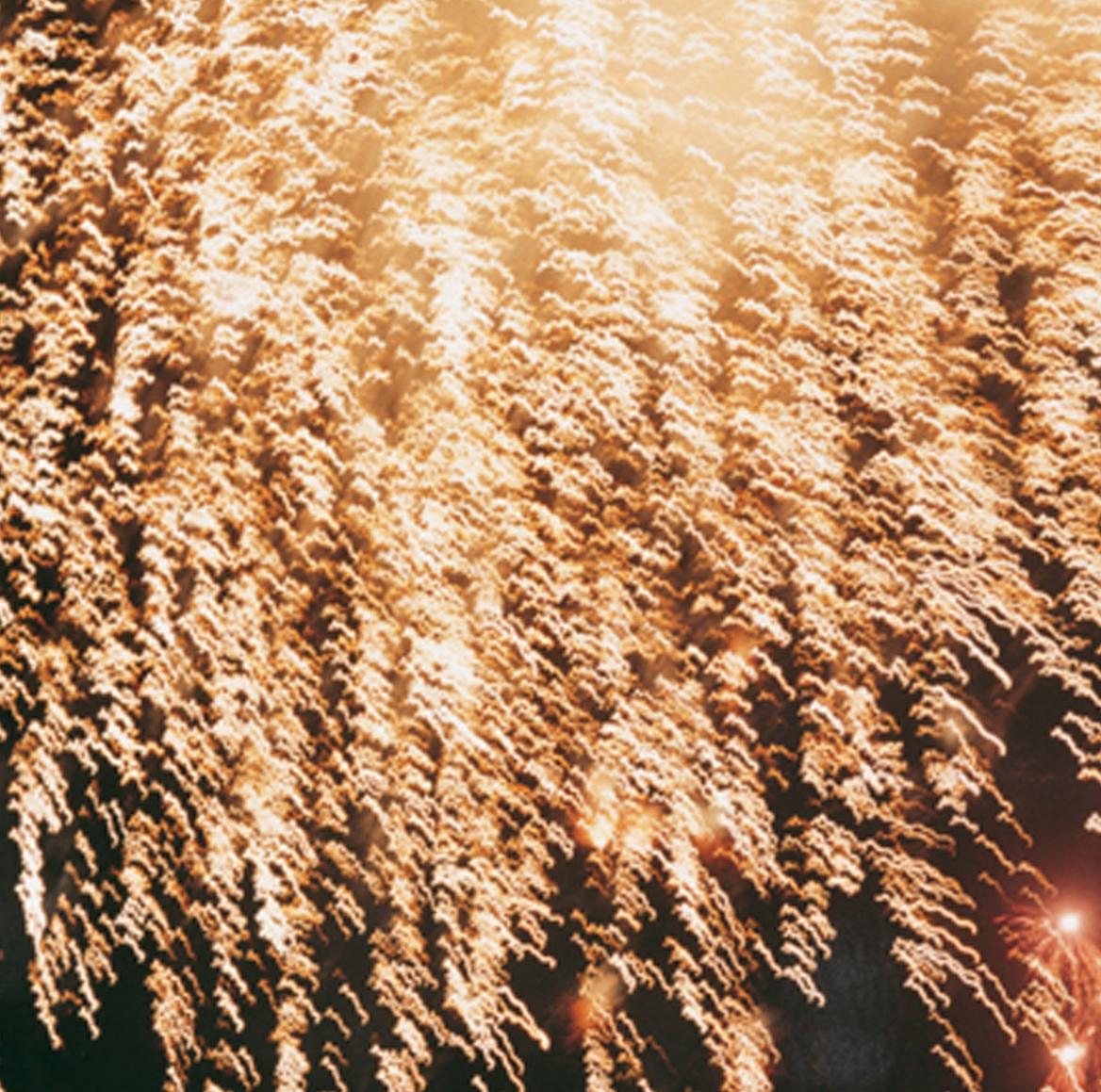 Senza titolo, dalla serie 'Hanabi' - Rinko Kawauchi, Cielo, Fuochi d'artificio, Notte in vendita 4