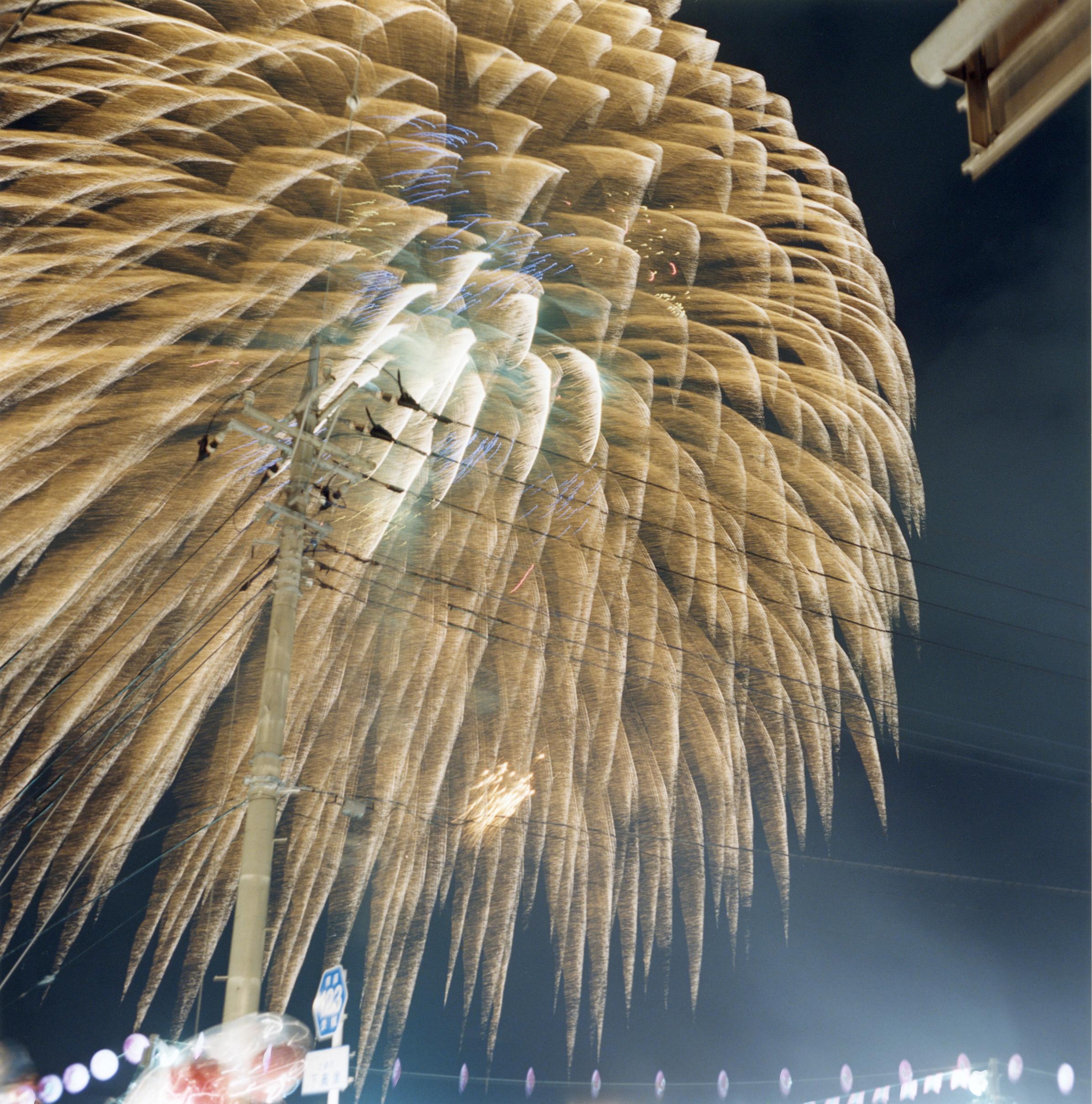 Rinko Kawauchi (*1972, Giappone)
Senza titolo, dalla serie 'Hanabi'
2001
Stampa a C
Foglio 25,4 x 20,3 cm (10 x 8 pollici)
Edizione di 6; Ed. n. 6/6 
incorniciato

Il lavoro di Rinko Kawauchi ricorda la fotografia giapponese degli anni '60 e