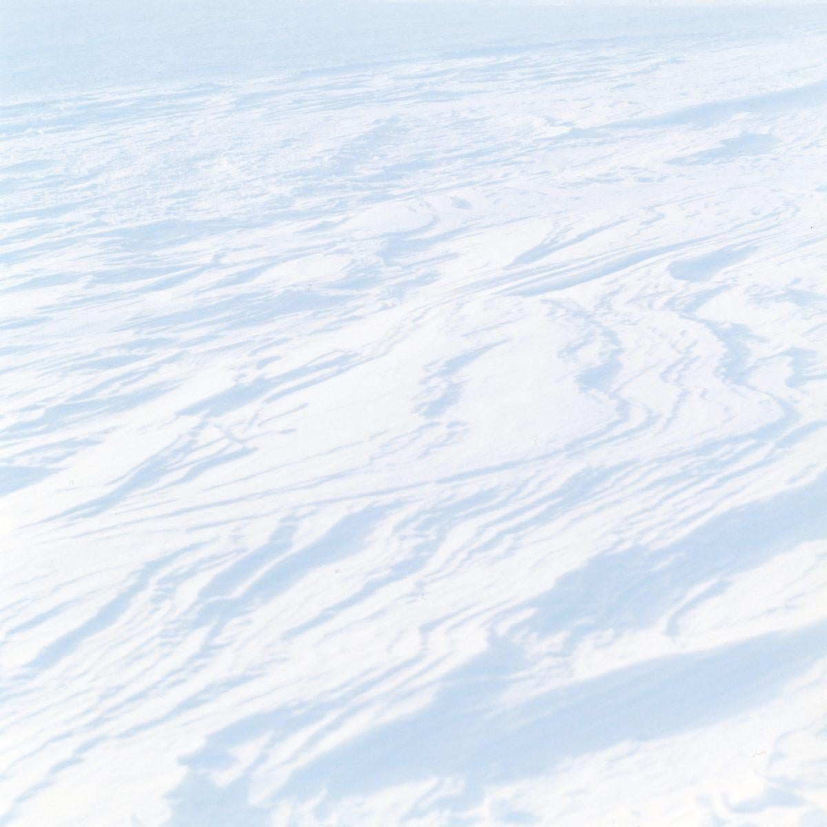 Untitled, from the series
Search for the sun