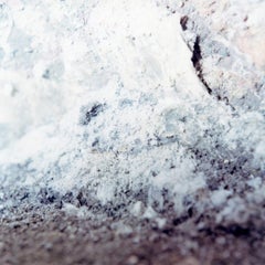 Untitled, from the series
Search for the sun