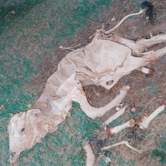 Untitled, from the series ‚Semear‘