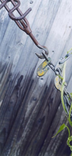 Untitled, from the series 'the eyes, the ears'