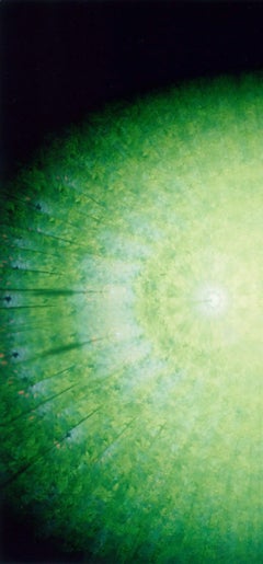 Untitled, from the series 'the eyes, the ears'