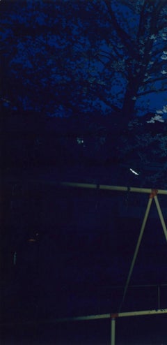 Untitled, from the series 'the eyes, the ears'