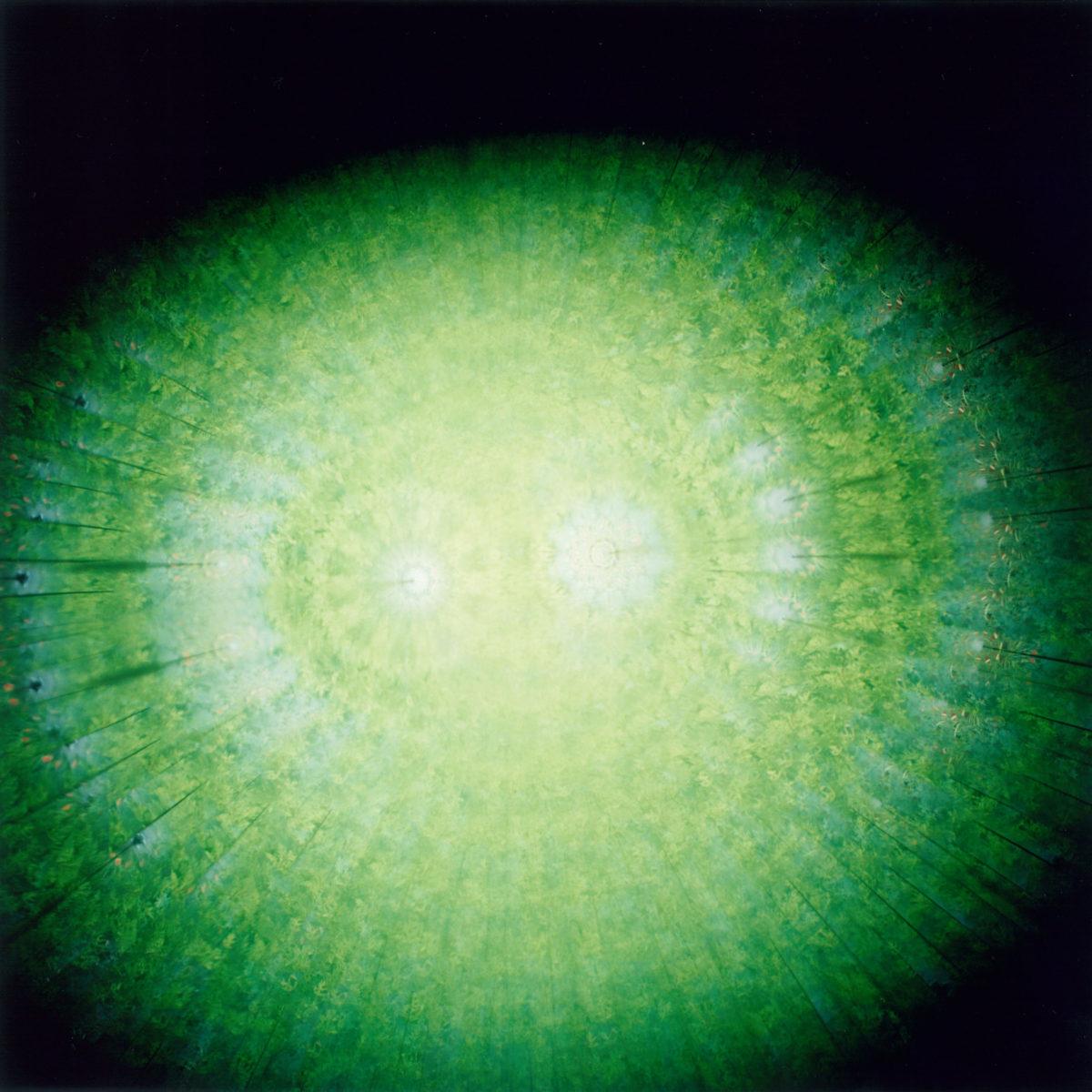 Untitled, from the series
the eyes, the ears