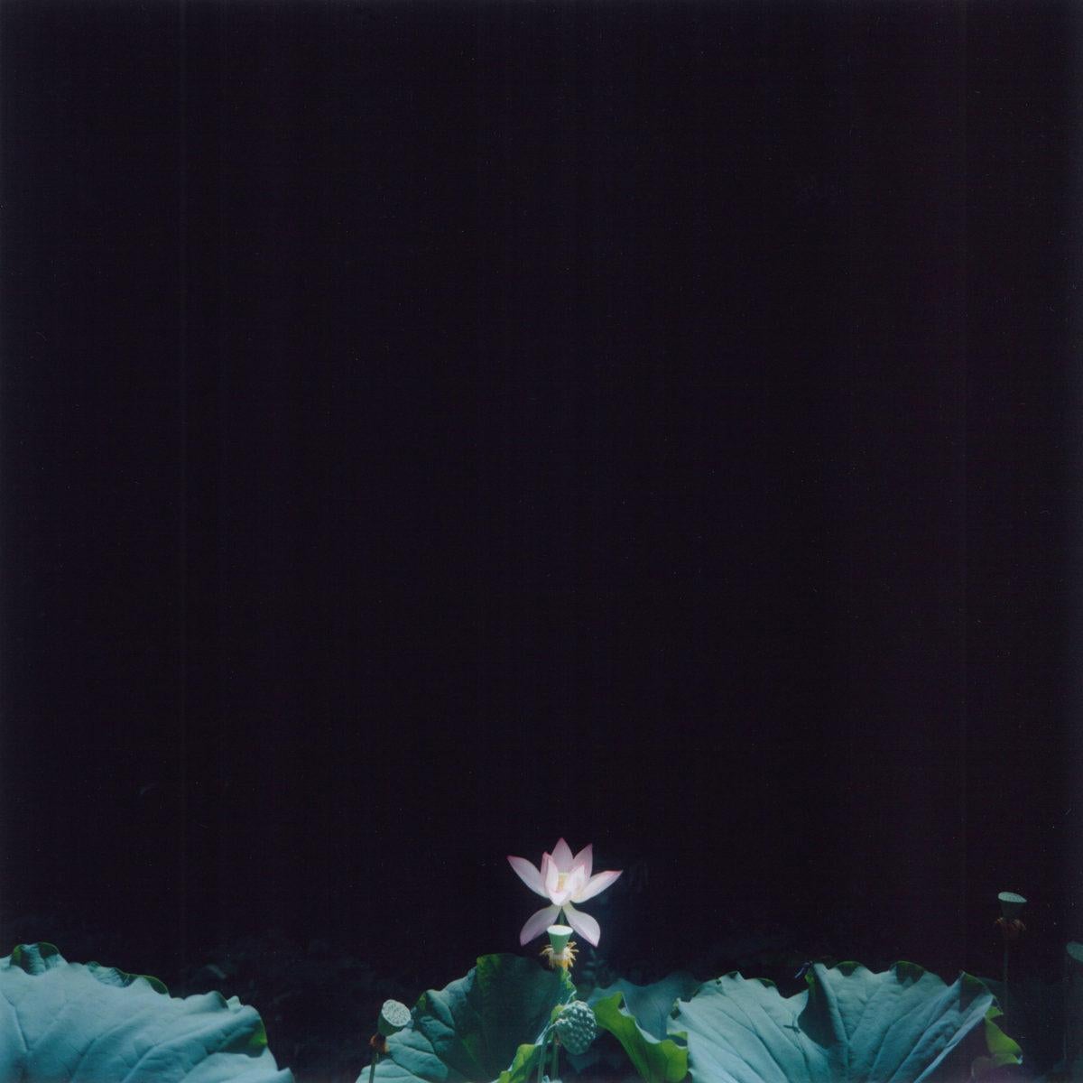 Untitled, from the series 
the eyes, the ears
