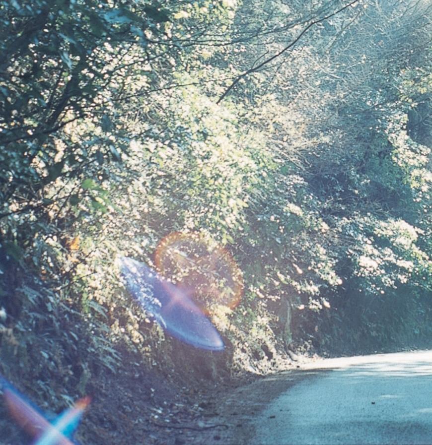 Sans titre, de la série « La rivière m'a embrassé » - Photograph de Rinko Kawauchi