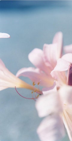 Senza titolo, dalla serie 'Il fiume mi ha abbracciato'.