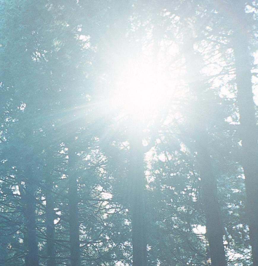 Sans titre, de la série « La rivière m'a embrassé » - Contemporain Photograph par Rinko Kawauchi