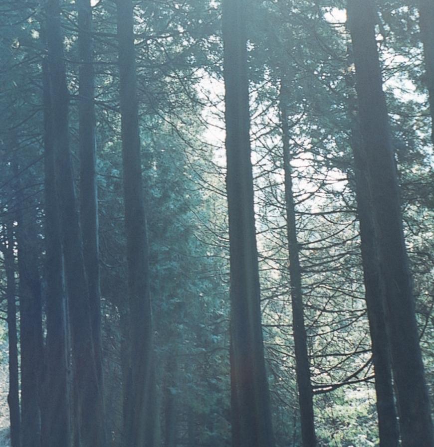 Sans titre, de la série « La rivière m'a embrassé » - Gris Color Photograph par Rinko Kawauchi