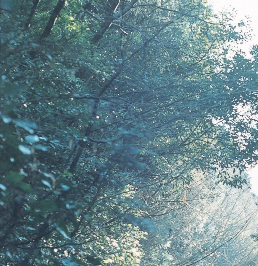 Rinko KAWAUCHI (*1972, Japon)
Sans titre, de la série 
