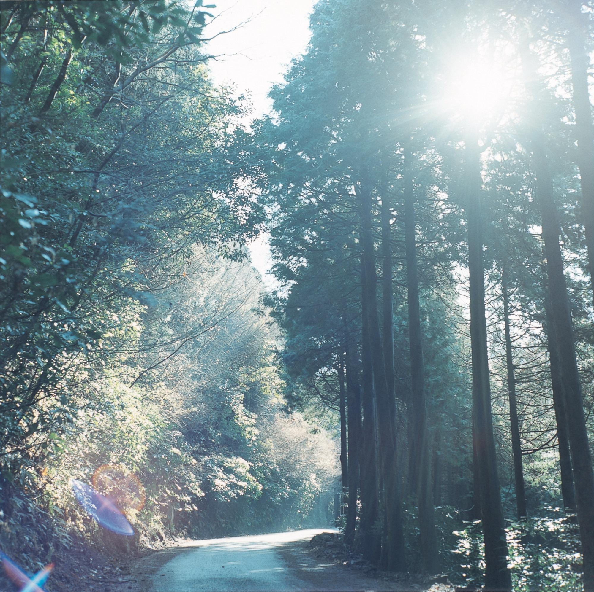 Color Photograph Rinko Kawauchi - Sans titre, de la série « La rivière m'a embrassé »