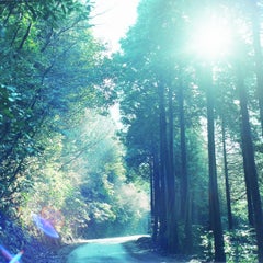 Untitled, from the series
The river embraced me