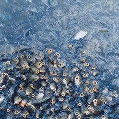 Untitled, from the series 'Utatane' – Rinko Kawauchi, Japanese, Fish, Water