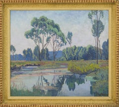 Riparian Forest in Klosterneuburg 'Paradise'