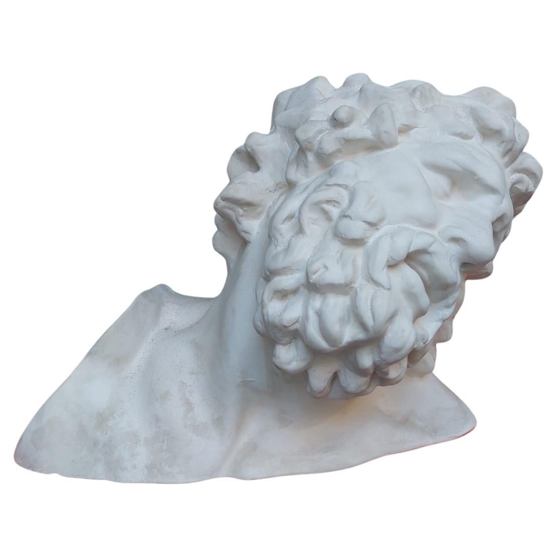La estatua de cerámica bizcochada es una reproducción de la cabeza de Laocoonte perteneciente al famoso grupo de Laocoonte, a su vez copia romana en mármol de una escultura helenística. El descubrimiento del grupo del Laocoonte supuso una revolución
