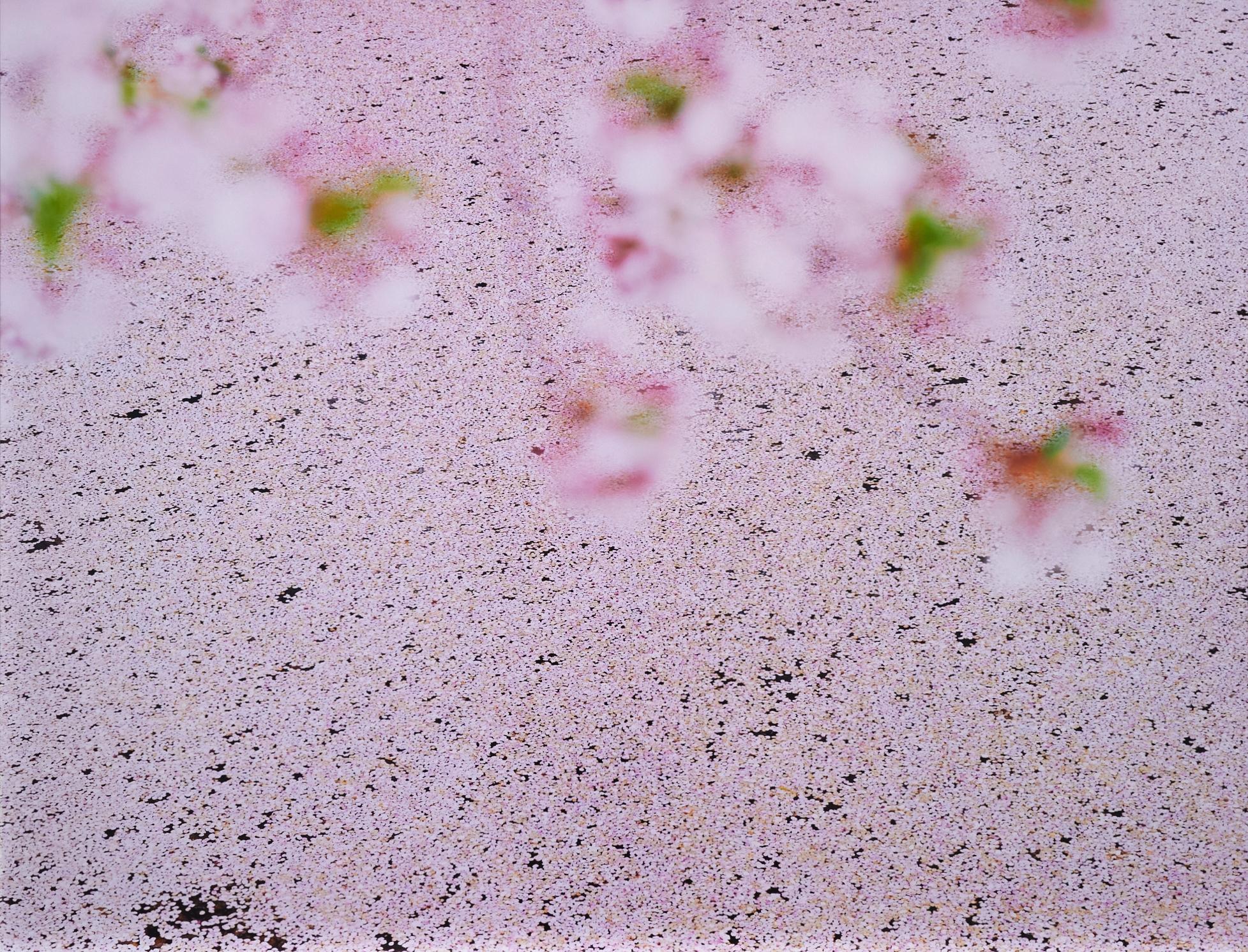 16/4/22