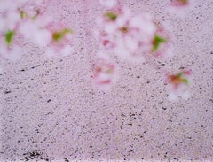 SAKURA 16,4-22 - Risaku Suzuki, Natur, Baum, Himmel, Frühling, Kirschblüte, Kunst