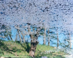 SAKURA 21, 4-570 – Risaku Suzuki, Nature, Spring, Cherry Blossom, Sakura, Japan