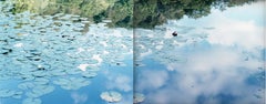 Specchio d'acqua 14, WM-77, 79 (dittico) - Risaku Suzuki, Nature, Acqua, Lilly