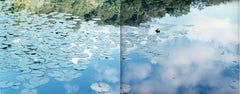 Water Mirror 14, WM-77, 79 (Diptych) – Risaku Suzuki, Nature, Water, Lillies