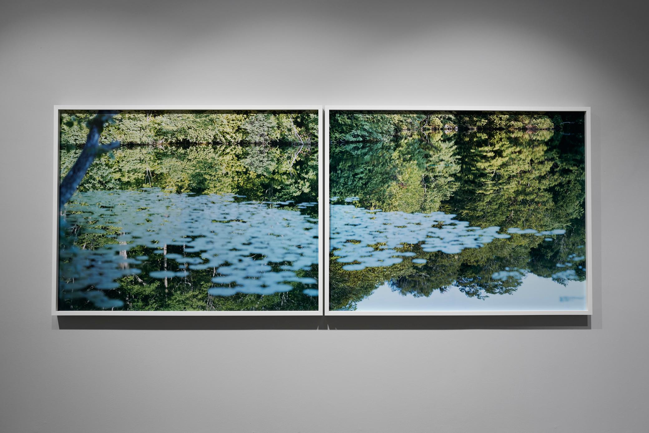Water Mirror 15, WM-272, 270 (Diptych) – Risaku Suzuki, Nature, Water, Lillies For Sale 1