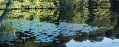 Wasserspiegel 15, WM-272, 270 (Diptychon) - Risaku Suzuki, Natur, Wasser, Lilien