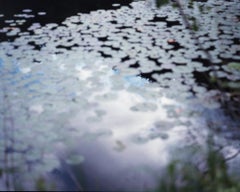 Water Mirror 15, WM-288  – Risaku Suzuki, Nature, Water, Lillies, Reflection