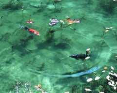 Water Mirror 17, WM-704 – Risaku Suzuki, Nature, Koi, Water, Mirror, Reflection