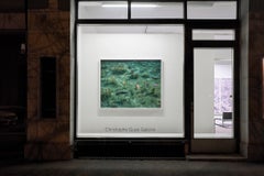 Water Mirror 17, WM-707 – Risaku Suzuki, Nature, Koi, Water, Mirror, Reflection